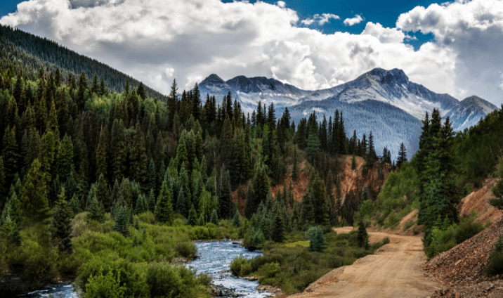 Untitled design (51)